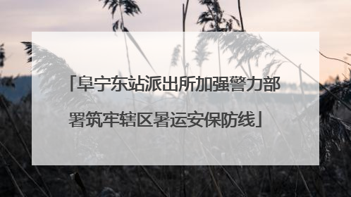 阜宁东站派出所加强警力部署筑牢辖区暑运安保防线
