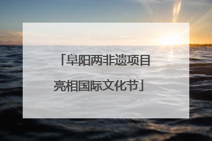 阜阳两非遗项目亮相国际文化节