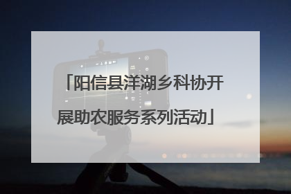 阳信县洋湖乡科协开展助农服务系列活动