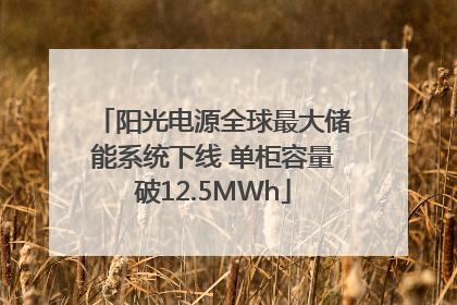 阳光电源全球最大储能系统下线 单柜容量破12.5MWh