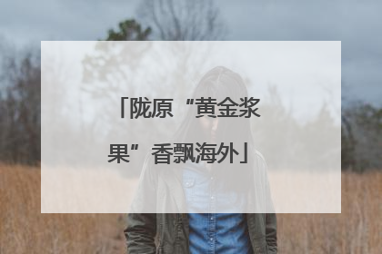 陇原“黄金浆果”香飘海外