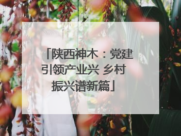 陕西神木：党建引领产业兴 乡村振兴谱新篇