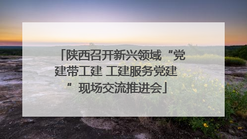 陕西召开新兴领域“党建带工建 工建服务党建”现场交流推进会