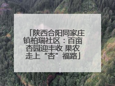 陕西合阳同家庄镇柏瑞社区：百亩杏园迎丰收 果农走上“杏”福路