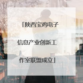 陕西宝鸡电子信息产业创新工作室联盟成立