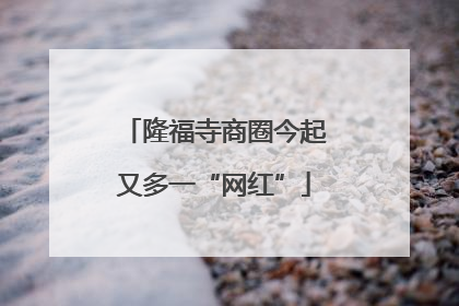 隆福寺商圈今起又多一“网红”