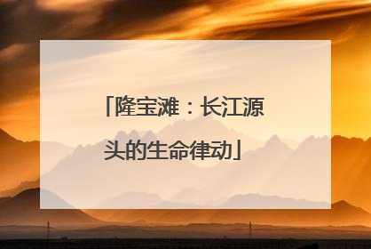 隆宝滩：长江源头的生命律动