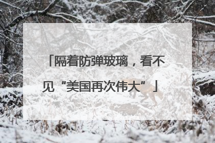 隔着防弹玻璃，看不见“美国再次伟大”