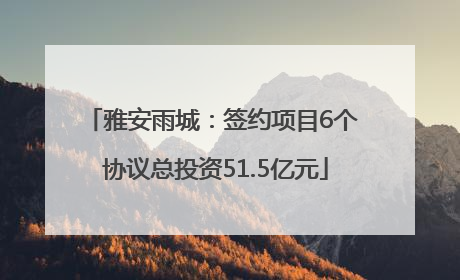 雅安雨城：签约项目6个 协议总投资51.5亿元