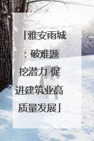 雅安雨城：破难题 挖潜力 促进建筑业高质量发展