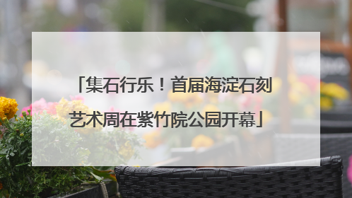集石行乐！首届海淀石刻艺术周在紫竹院公园开幕