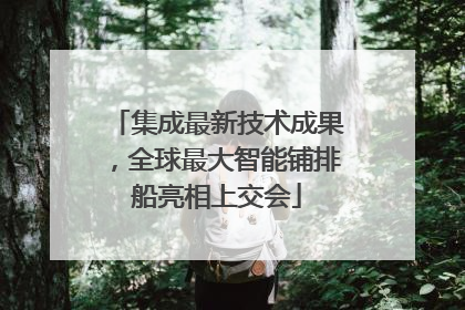 集成最新技术成果，全球最大智能铺排船亮相上交会