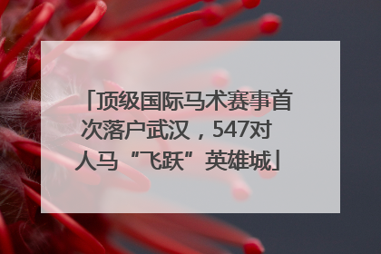顶级国际马术赛事首次落户武汉，547对人马“飞跃”英雄城