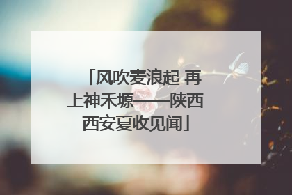 风吹麦浪起 再上神禾塬——陕西西安夏收见闻