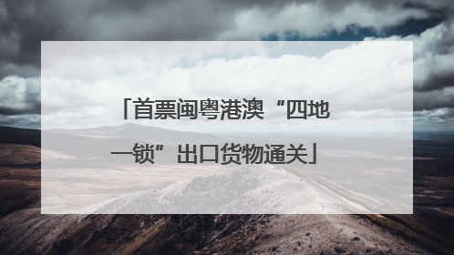 首票闽粤港澳“四地一锁”出口货物通关