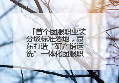 首个团服职业装分级标准落地，京东打造“研产销运洗”一体化团服职业装解决方案