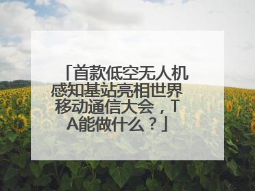 首款低空无人机感知基站亮相世界移动通信大会，TA能做什么？
