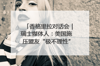 香格里拉对话会｜瑞士媒体人：美国施压盟友“极不理性” 欧洲国家无意与中国“脱钩断链”