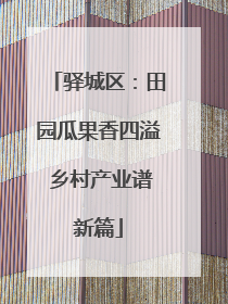驿城区：田园瓜果香四溢 乡村产业谱新篇