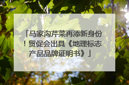 马家沟芹菜再添新身份！贸促会出具《地理标志产品品牌证明书》