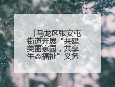 马龙区张安屯街道开展“共建美丽家园，共享生态福祉”义务植树主题活动