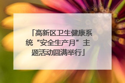 高新区卫生健康系统“安全生产月”主题活动圆满举行