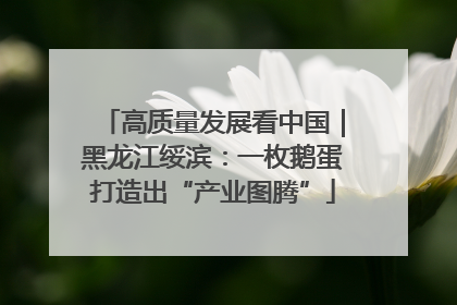 高质量发展看中国｜黑龙江绥滨：一枚鹅蛋打造出“产业图腾”