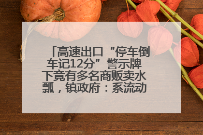 高速出口“停车倒车记12分”警示牌下竟有多名商贩卖水瓢，镇政府：系流动摊位，已多次劝离