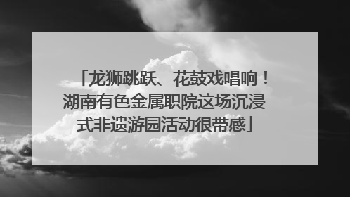 龙狮跳跃、花鼓戏唱响！湖南有色金属职院这场沉浸式非遗游园活动很带感