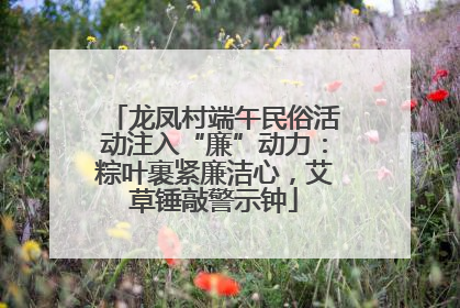 龙凤村端午民俗活动注入“廉”动力：粽叶裹紧廉洁心，艾草锤敲警示钟