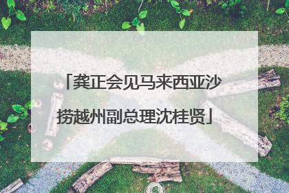龚正会见马来西亚沙捞越州副总理沈桂贤