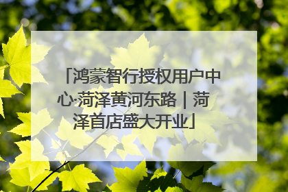 鸿蒙智行授权用户中心·菏泽黄河东路｜菏泽首店盛大开业
