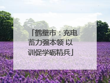 鹤壁市：充电蓄力强本领 以训促学砺精兵