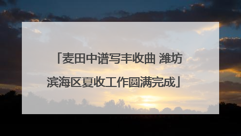 麦田中谱写丰收曲 潍坊滨海区夏收工作圆满完成