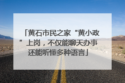黄石市民之家“黄小政”上岗，不仅能聊天办事还能听懂多种语言