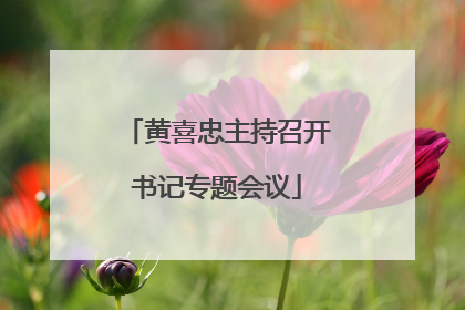 黄喜忠主持召开书记专题会议