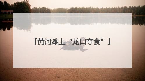 黄河滩上“龙口夺食”