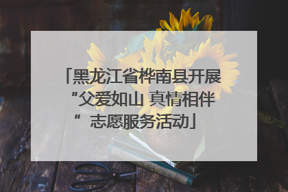 黑龙江省桦南县开展“父爱如山 真情相伴”志愿服务活动