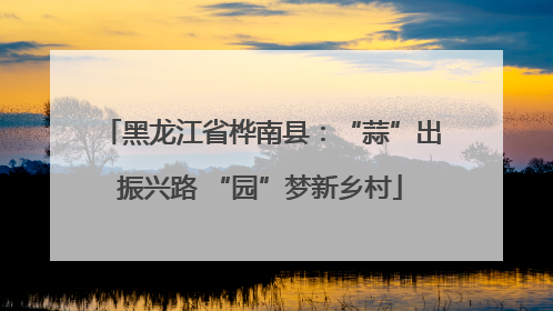 黑龙江省桦南县：“蒜”出振兴路 “园”梦新乡村