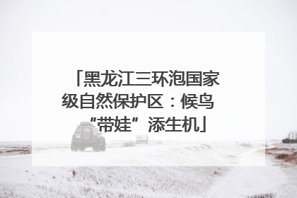 黑龙江三环泡国家级自然保护区：候鸟“带娃”添生机