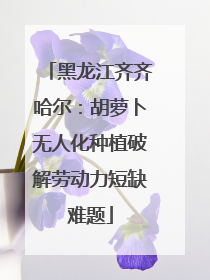 黑龙江齐齐哈尔：胡萝卜无人化种植破解劳动力短缺难题