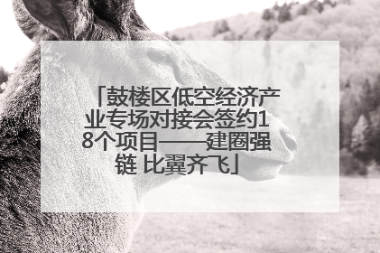 鼓楼区低空经济产业专场对接会签约18个项目——建圈强链 比翼齐飞