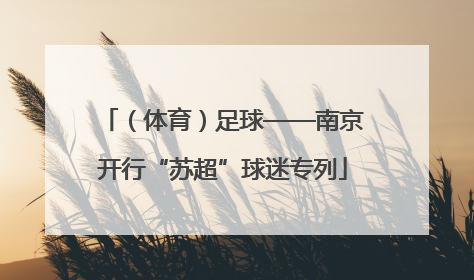 （体育）足球——南京开行“苏超”球迷专列