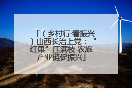 （乡村行·看振兴）山西长治上党：“红果”压满枝 农旅产业链促振兴