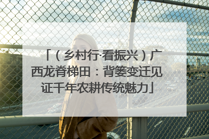 （乡村行·看振兴）广西龙脊梯田：背篓变迁见证千年农耕传统魅力