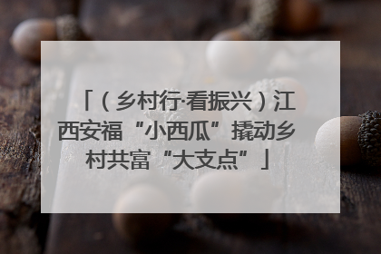 （乡村行·看振兴）江西安福“小西瓜”撬动乡村共富“大支点”
