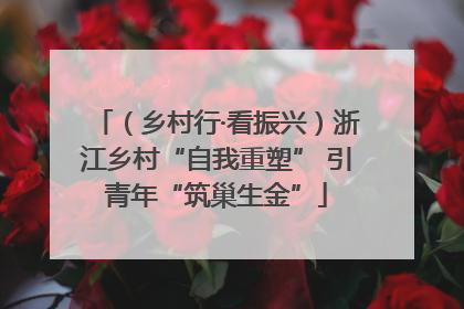 （乡村行·看振兴）浙江乡村“自我重塑” 引青年“筑巢生金”