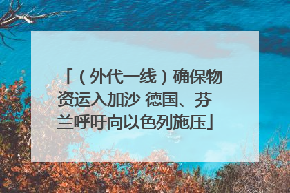 （外代一线）确保物资运入加沙 德国、芬兰呼吁向以色列施压