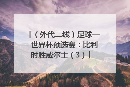 （外代二线）足球——世界杯预选赛：比利时胜威尔士（3）