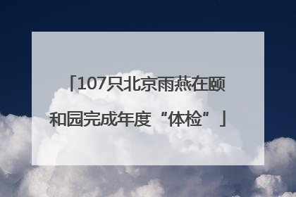 107只北京雨燕在颐和园完成年度“体检”